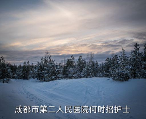 成都市第二人民醫院何時招護士