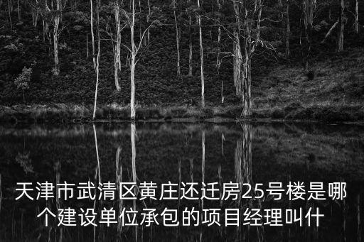 天津市武清區黃莊還遷房25號樓是哪個建設單位承包的項目經理叫什