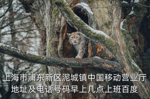 上海市浦東新區泥城鎮中國移動營業廳地址及電話號碼早上幾點上班百度