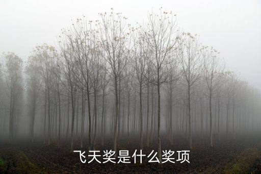 飛天獎(jiǎng),中國(guó)電視金鷹獎(jiǎng):獲獎(jiǎng)名單揭曉導(dǎo)演編劇皆獲獎(jiǎng)50萬(wàn)元