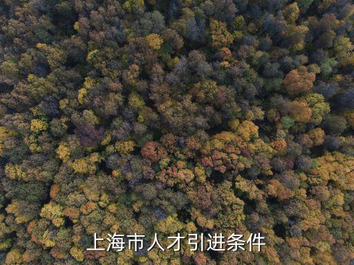 上海市人才引進條件