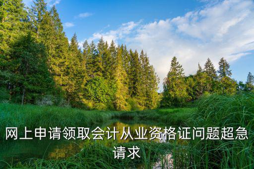 網(wǎng)上申請領(lǐng)取會計從業(yè)資格證問題超急請求