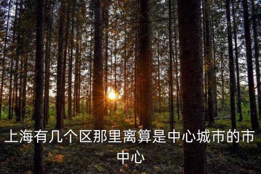 上海有幾個區那里離算是中心城市的市中心