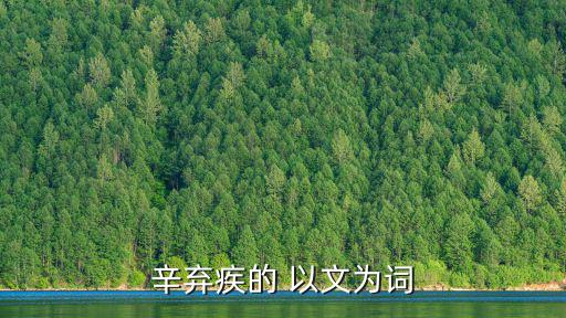 辛棄疾的 以文為詞