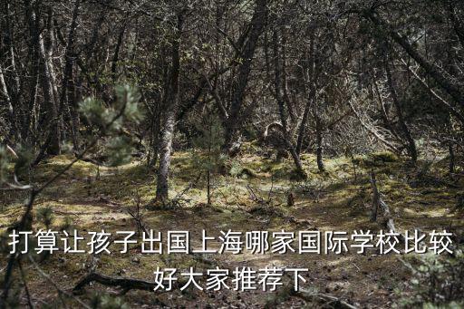 上海有什么好的國際學校，打算讓孩子出國上海哪家國際學校比較好大家推薦下