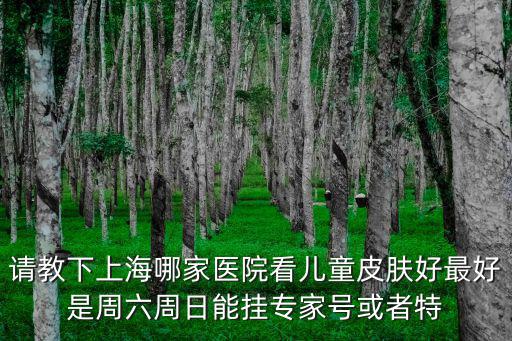 請教下上海哪家醫(yī)院看兒童皮膚好最好是周六周日能掛專家號或者特