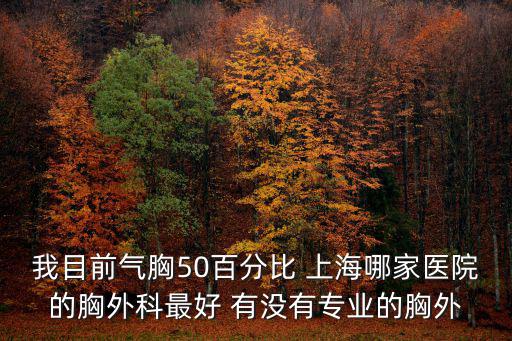 我目前氣胸50百分比 上海哪家醫院的胸外科最好 有沒有專業的胸外