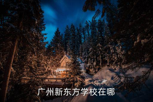 廣州新東方學校在哪