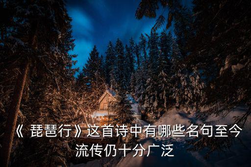 琵琶行第四段,第一首詩琵琶xing引出下一首