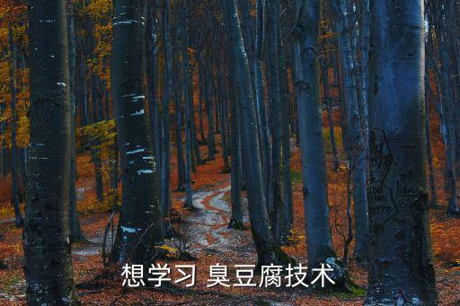 學(xué)臭豆腐,南京特色小吃臭豆腐可在線教學(xué)