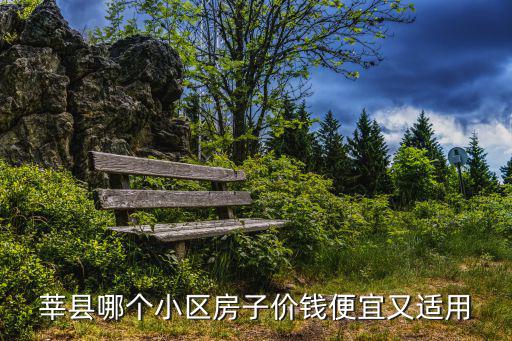 莘縣哪個小區房子價錢便宜又適用