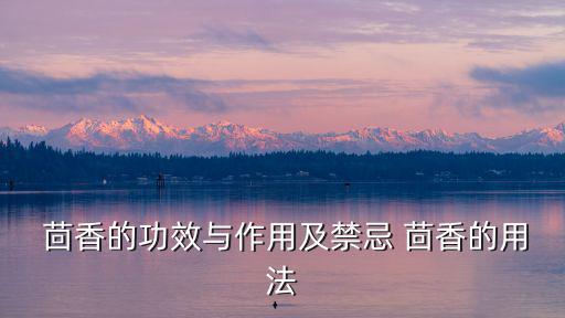  茴香的功效與作用及禁忌 茴香的用法