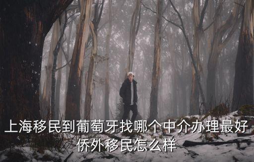 上海龍僑落戶服務(wù)中心怎么樣，上海移民到葡萄牙找哪個(gè)中介辦理最好僑外移民怎么樣