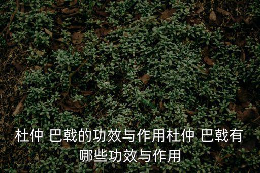 杜仲 巴戟的功效與作用杜仲 巴戟有哪些功效與作用