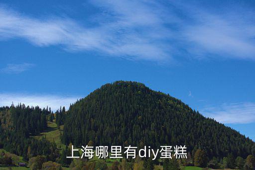 上海哪里有diy蛋糕