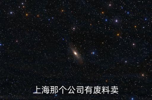 上海那個公司有廢料賣