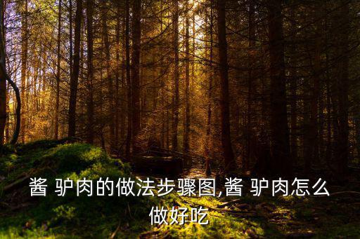 醬 驢肉的做法步驟圖,醬 驢肉怎么做好吃