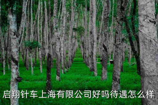 上海市浦東新區(qū)云橋路1185號(hào)，啟翔針車上海有限公司好嗎待遇怎么樣