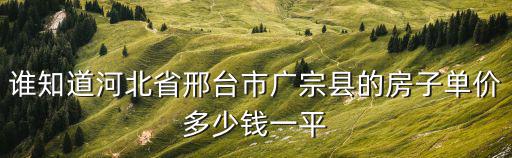 誰知道河北省邢臺市廣宗縣的房子單價多少錢一平