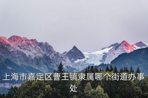 上海市嘉定曹王合金鋁錠委員會，上海市嘉定區曹王鎮隸屬哪個街道辦事處