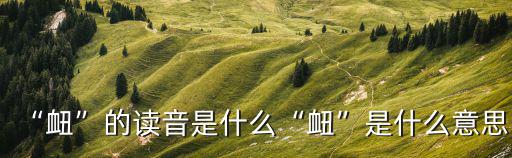 “衄”的讀音是什么“衄”是什么意思