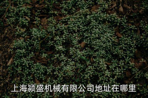 上海潁盛機械有限公司地址在哪里