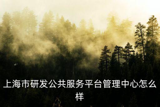 上海市研發公共服務平臺管理中心怎么樣