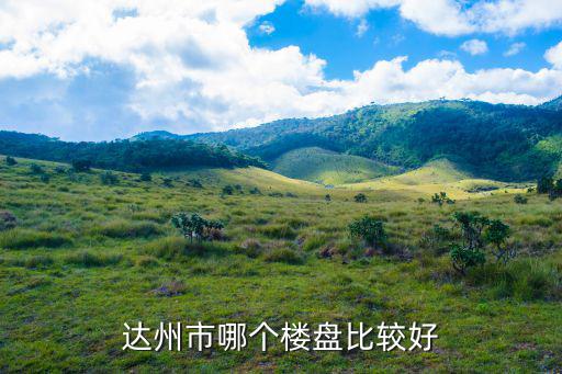 達(dá)州市哪個(gè)樓盤(pán)比較好