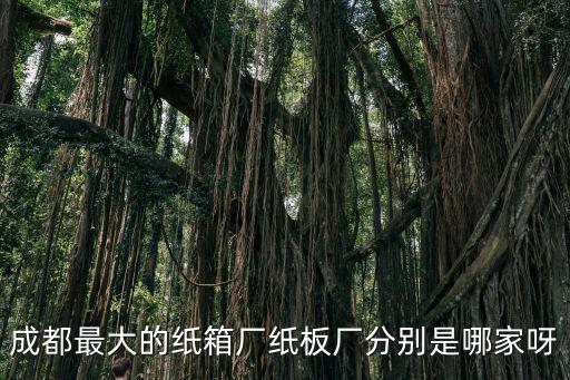 成都最大的紙箱廠紙板廠分別是哪家呀