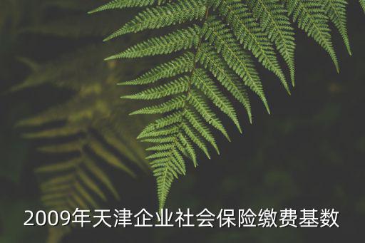 天津市企業視同繳費基數，2009年天津企業社會保險繳費基數