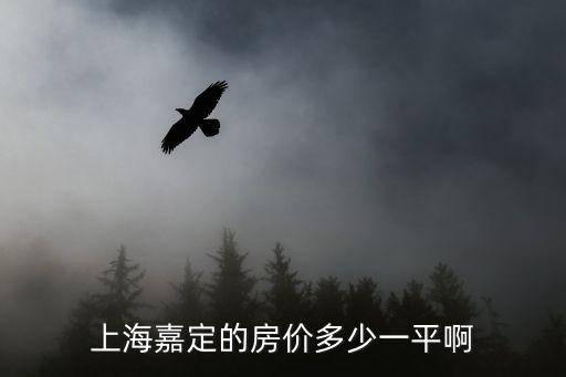 上海嘉定的房價多少一平啊