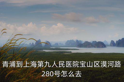 上海市寶山區漠河路280號，上海市寶山區漠河路280號上海九院北區滬c車牌能開進去嗎求告