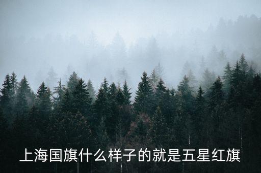 上海國旗什么樣子的就是五星紅旗