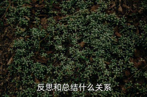 總結與反思,先說說反思和總結!兩者側重點不同
