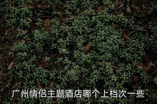 廣州情侶主題酒店哪個上檔次一些