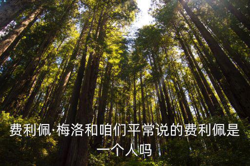 費利佩·梅洛和咱們平常說的費利佩是一個人嗎