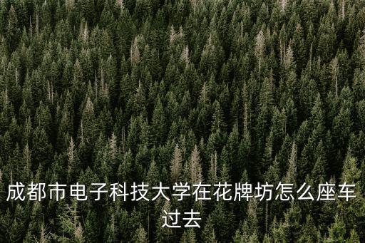 成都市電子科技大學(xué)醫(yī)院杜青，成都電子科技大學(xué)校醫(yī)院怎么樣