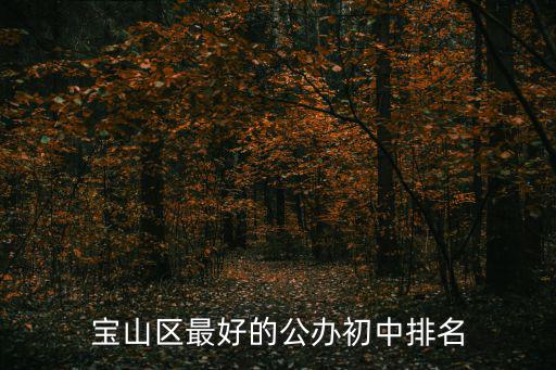 寶山區最好的公辦初中排名