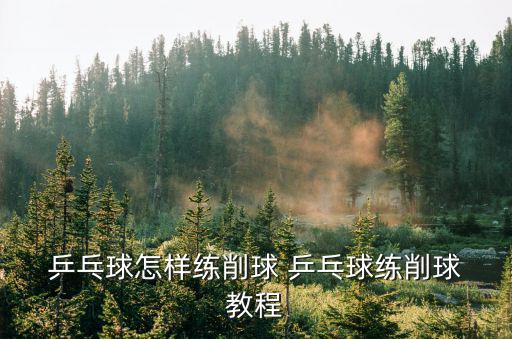 乒乓球教程,英文教程:乒乓球沒有升龍十八掌獨孤九劍