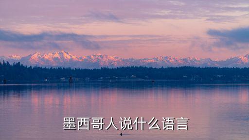 墨西哥語,墨西哥人民飲食:豐富多樣的飲食匯聚世界美食