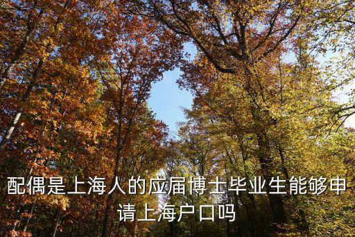 配偶是上海人的應屆博士畢業生能夠申請上海戶口嗎