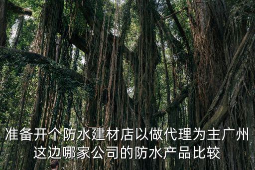 準備開個防水建材店以做代理為主廣州這邊哪家公司的防水產品比較