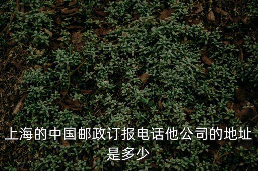 上海的中國郵政訂報電話他公司的地址是多少