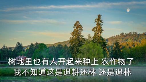 樹地里也有人開起來種上 農作物了 我不知道這是退耕還林 還是退林