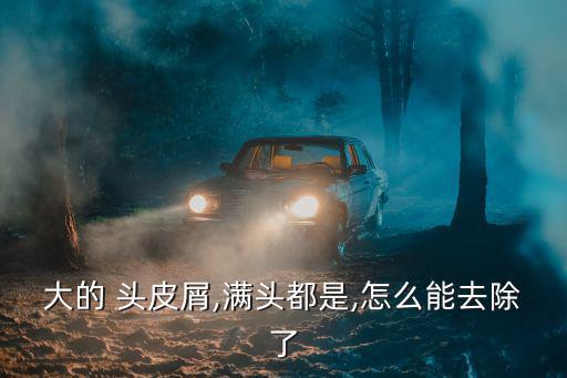 大的 頭皮屑,滿頭都是,怎么能去除了