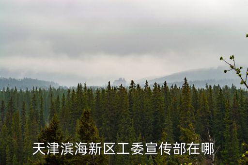天津濱海新區(qū)工委宣傳部在哪
