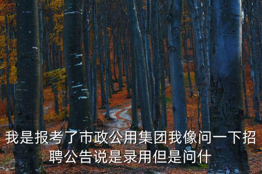 我是報考了市政公用集團我像問一下招聘公告說是錄用但是問什