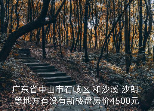 廣東省中山市石岐區(qū) 和沙溪 沙朗 等地方有沒(méi)有新樓盤房?jī)r(jià)4500元