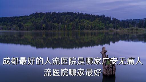 成都最好的人流醫(yī)院是哪家廣安無痛人流醫(yī)院哪家最好