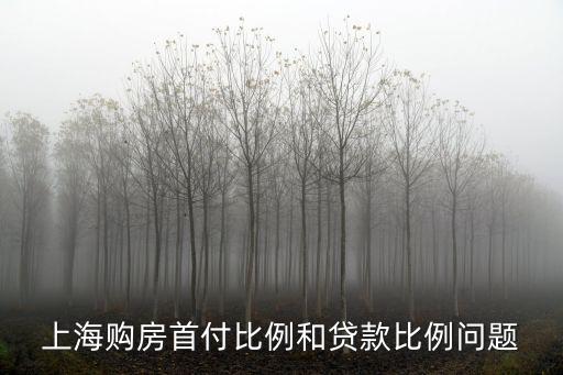 上海350萬房子首付和月供，350萬的房子首付3成是多少